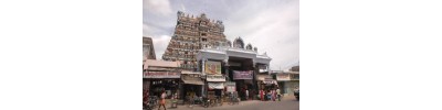 206. திருநெல்வேலி